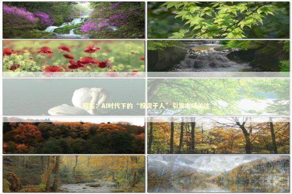 程实：AI时代下的“投资于人”引发市场关注