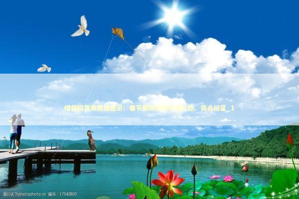 增值税发票数据显示：春节假期消费市场火热、亮点纷呈_1