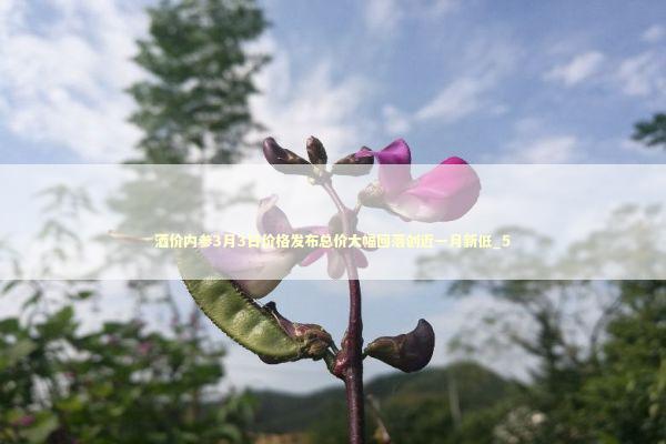 酒价内参3月3日价格发布总价大幅回落创近一月新低_5