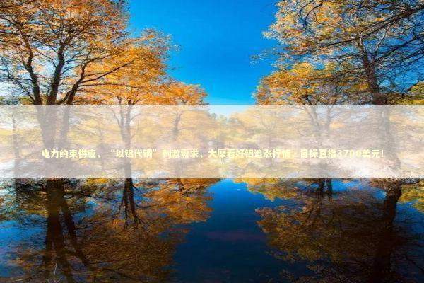 电力约束供应，“以铝代铜”刺激需求，大摩看好铝追涨行情，目标直指3700美元！