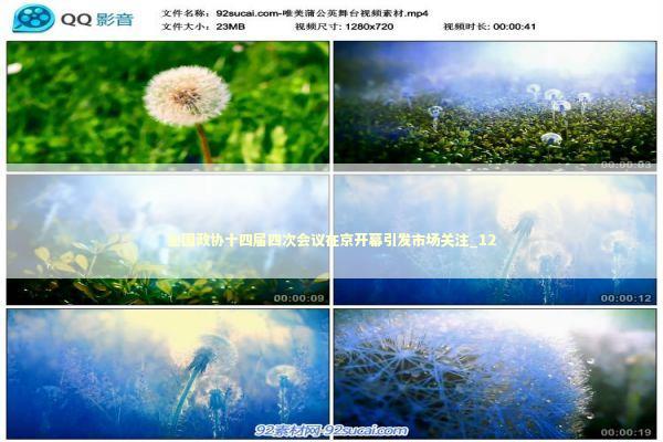 全国政协十四届四次会议在京开幕引发市场关注_12