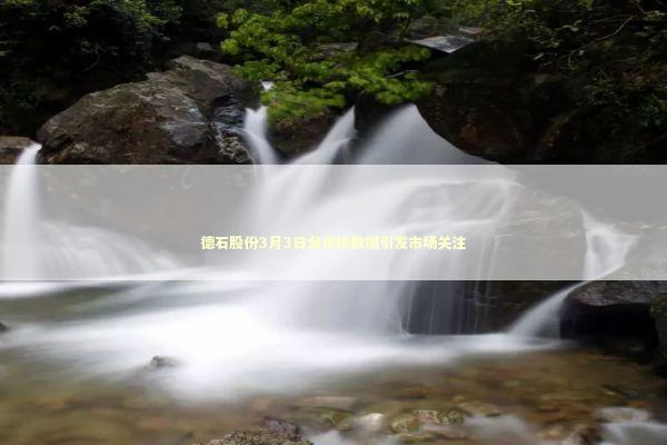 德石股份3月3日龙虎榜数据引发市场关注