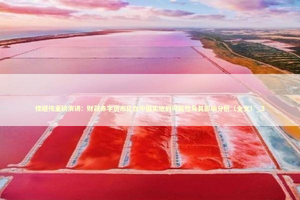 楼继伟重磅演讲：财政赤字货币化在中国实施的可能性及其影响分析（全文）_3