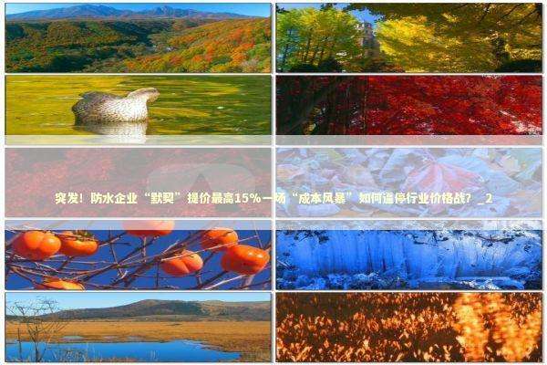 突发！防水企业“默契”提价最高15%一场“成本风暴”如何逼停行业价格战？_2