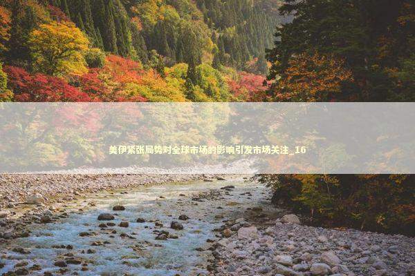 美伊紧张局势对全球市场的影响引发市场关注_16