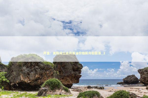 开盘：美股周三高开原油价格飙升后回落_2