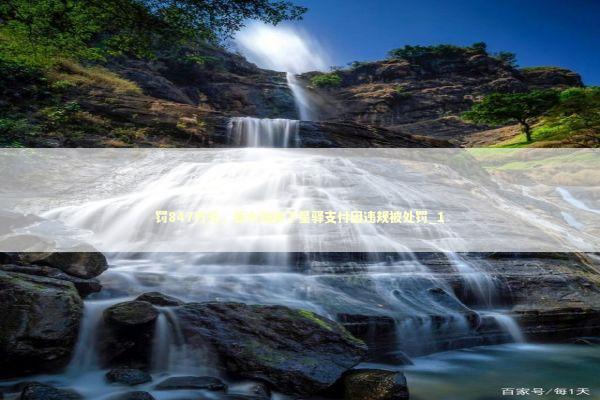 罚847万元，新大陆旗下星驿支付因违规被处罚_1