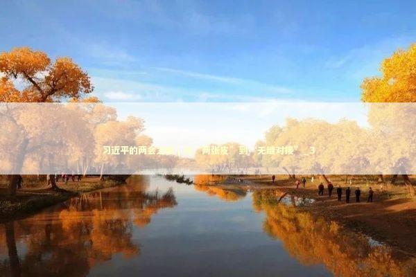 习近平的两会之喻｜从“两张皮”到“无缝对接”_3