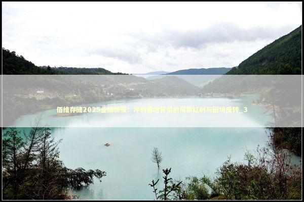 佰维存储2025业绩快报：净利暴增背后的周期红利与困境反转_3