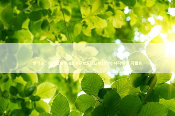 罗马诺：拜仁正在推动签下萨尔茨堡红牛16岁小将马特奥-马里奇