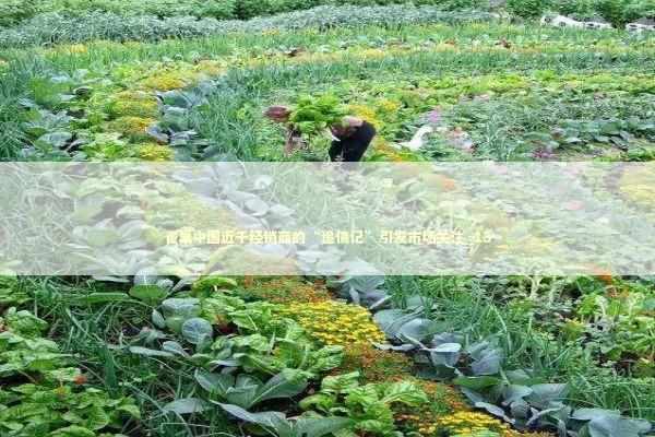 雀巢中国近千经销商的“追债记”引发市场关注_13