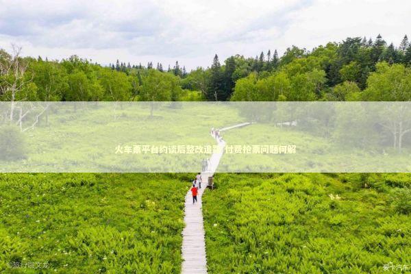 火车票平台约谈后整改追踪 付费抢票问题何解