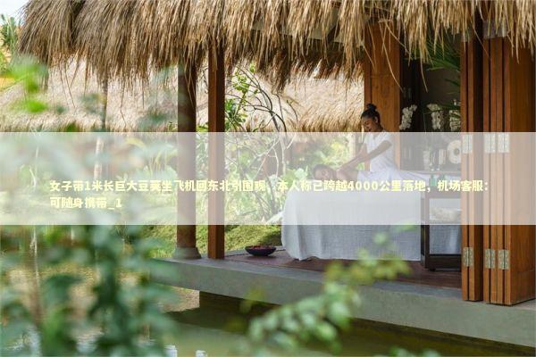 女子带1米长巨大豆荚坐飞机回东北引围观，本人称已跨越4000公里落地，机场客服：可随身携带_1