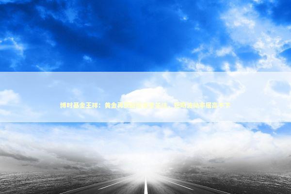 博时基金王祥：黄金再获避险资金关注，短期波动率居高不下