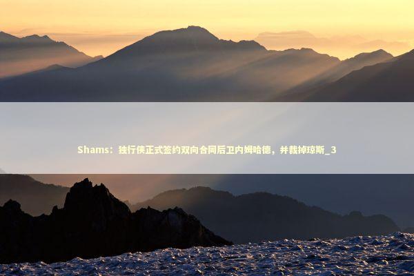 Shams：独行侠正式签约双向合同后卫内姆哈德，并裁掉琼斯_3