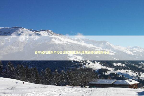 春节买花成新年俗全国花市生意火爆成新春消费新亮点