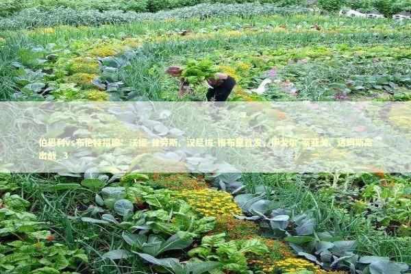 伯恩利vs布伦特福德：沃德-普劳斯、汉尼拔-梅布里首发，伊戈尔-蒂亚戈、达姆斯高出战_3