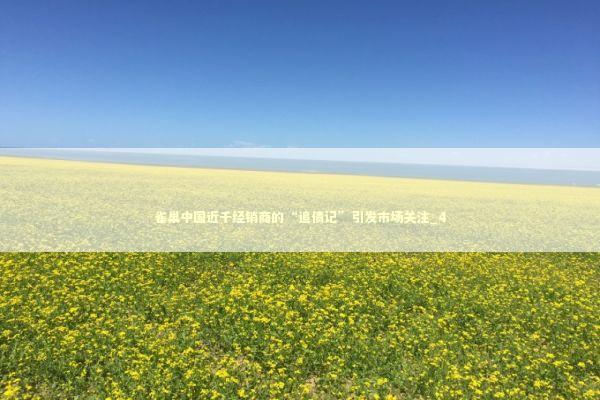 雀巢中国近千经销商的“追债记”引发市场关注_4