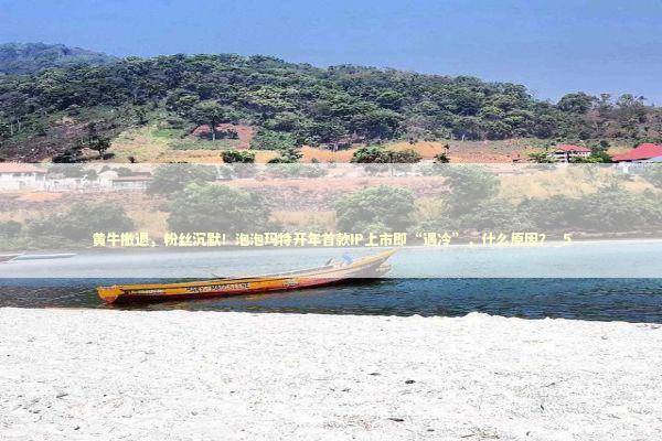 黄牛撤退，粉丝沉默！泡泡玛特开年首款IP上市即“遇冷”，什么原因？_5