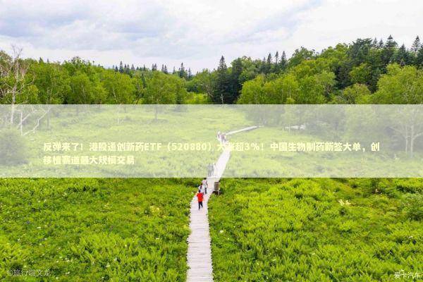 反弹来了！港股通创新药ETF（520880）大涨超3%！中国生物制药新签大单，创移植赛道最大规模交易