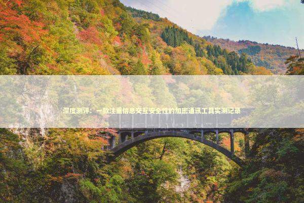 深度测评：一款注重信息交互安全性的加密通讯工具实测记录 IT技术