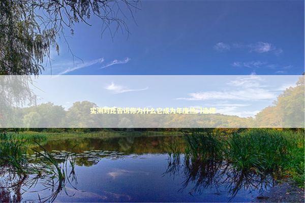 实测对比告诉你为什么它成为年度热门选择 IT技术