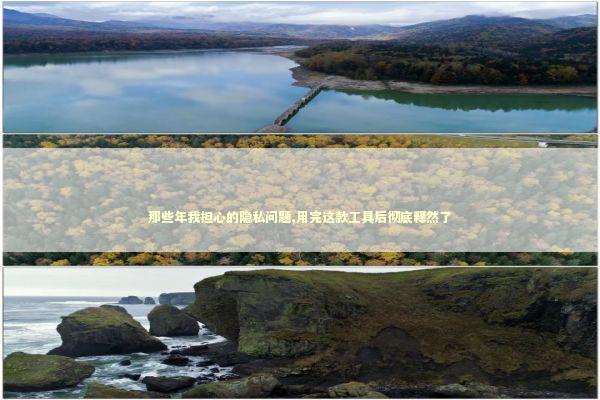 那些年我担心的隐私问题,用完这款工具后彻底释然了 IT技术